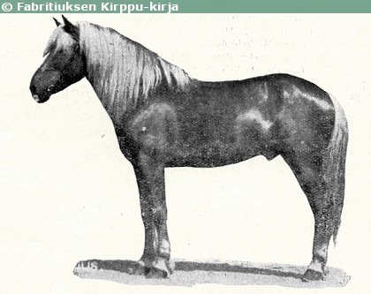 Kuva