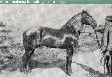 Kuva