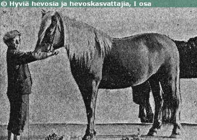 Kuva