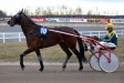 Elin H