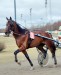 Seachild Hanover