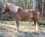 Knuutilan Sampo