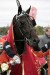 Belmonte