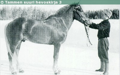 Kuva