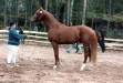 Rebello