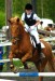 Vipsun Urho