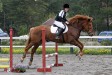 Vipsun Urho