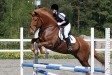 Vipsun Urho