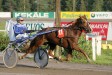 Turontuisku