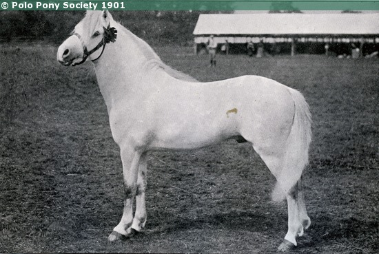 Kuva