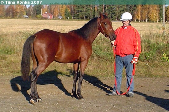 Kuva