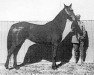 Ghazieh EG