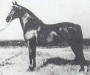Orcland Donanna