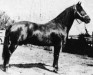Tehachapi Allan