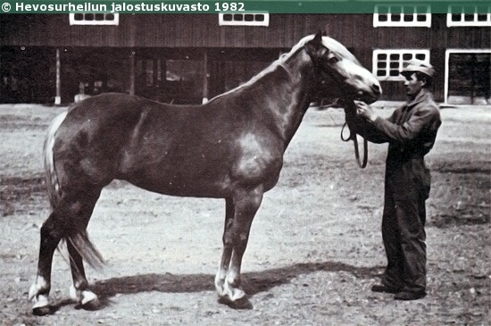 Kuva