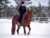 Jorken Prinssi