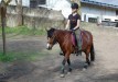 Elwis