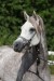 Faramir
