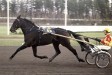 Excel Hanover