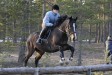 Andante
