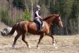 Hanna IV