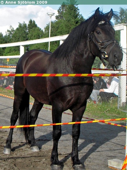 Kuva