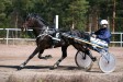 Equatore