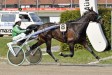 Yvet de Bellouet