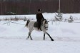 Hyväntuulen Romi