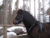 Kievari-Heta