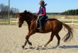Firehill's Ziggy