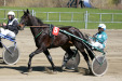 Timovei