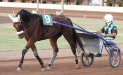 Nevada Ors