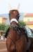 Nevada Ors