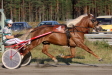 Vaarin Valtti