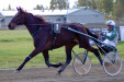 Timovei