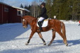 Teppo Terävä