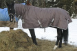 Birchcape's Saranza