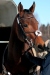 Inez Afable