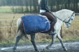 Pace Maker