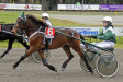 Hietarannan Jesper
