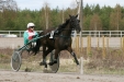 Åsne Hornline