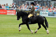 Llangennydd Black Prince