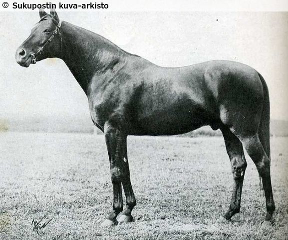 Kuva
