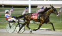 Abiona Hanover
