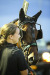 Abiona Hanover