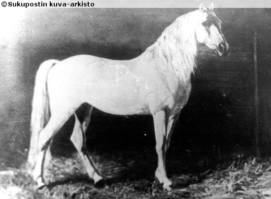 Kuva