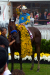 American Pharoah