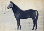 Brother Hanover