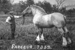 Farceur